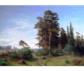 Картина "Лесная опушка". Nordgren Axel (1828-1888). Дюссельдорф 1856г. №257