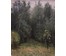 Дучиц Н.В. - "Крыжовка", 1953 г. №608
