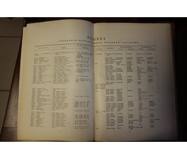 Макаров Н.П. и Шеерер В.В. Полный русско-немецкий словарь. Россия, 1911 г. №4