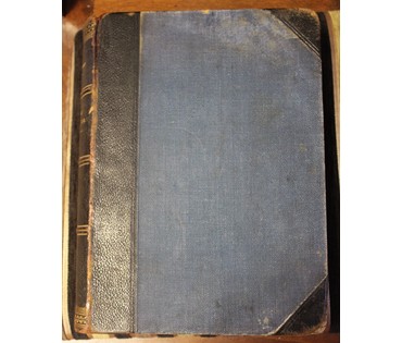 Сочинения М. Геедерфера. "Комнатное садоводство". Россия, 1904 г. №5