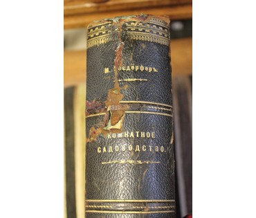 Сочинения М. Геедерфера. "Комнатное садоводство". Россия, 1904 г. №5