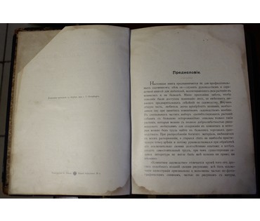Сочинения М. Геедерфера. "Комнатное садоводство". Россия, 1904 г. №5