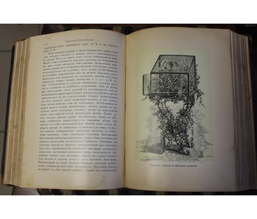 Сочинения М. Геедерфера. "Комнатное садоводство". Россия, 1904 г. №5