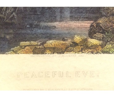 Rost C. Гравюра "Peaceful Eve", 1883 год НЕТ В НАЛИЧИИ (артикул №1044) - фото №6