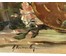 Vermeulen R. "Натюрморт", к. XIX - н. ХХ в. (артикул №1121) - фото №3