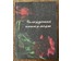Сулковский В.Я "Натюрморт", холст, масло. Размер 75х75 см. (артикул №1227) - фото №8