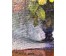 Явич П.М. (ученик Пэна Ю.М.) "Белая сирень". Витебск, 2006 год. (артикул №1261) - фото №5