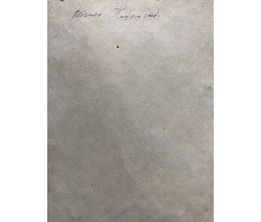 Мiкола Паўлоўскi. Акварель. "Уборка сена", 1965 год; 26/18,5см (артикул №1499) - фото №3