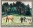 Михеева В.Н. Акварель "Лошадки", 1970 год; 46х38 см (артикул №1505) - фото №1