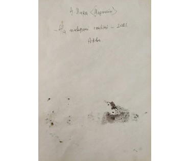 Алесь Мара (Марочкин А.А. 1940 г.р.). "На паверхнi глыбiнi" (бел.). Акварель, 2021 год (артикул №1741) - фото №3