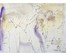 Алесь Мара (Марочкин А.А. 1940 г.р.). Акварель, 1997 год (артикул №1748) - фото №2