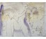 Алесь Мара (Марочкин А.А. 1940 г.р.). Акварель, 1997 год (артикул №1748) - фото №3