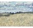 Боломатов В.Ф. "Поля Беларуси"; 53,5/41,5 см. Минск; 70-80ые гг. XX века; (артикул №1795) - фото №3