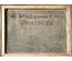 Бржозовский Генрих Францевич. "Флоксы". 1958 г. 60х80см. № 1881 Нет в наличии! (артикул №1881) - фото №4