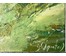 Игнатенко Сергей Николаевич. Картина "Через тополя". Холст. Масло. 2020 год. № 1912 (артикул №1912) - фото №3