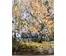 Пешкун В.П "Полесье" 2014г. Холст, масло. Размер 40х90 см. № 1959 (артикул №1959) - фото №4