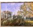 Пешкун В.П "Полесье" 2014г. Холст, масло. Размер 40х90 см. № 1959 (артикул №1959) - фото №6