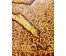 Почицкий В.В (dr.Klein) "Лестница Иакова", 2016г. Холст, фанера, масло. Размер 49Х49 см. № 2451 (артикул №2451) - фото №10