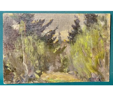 Дучиц Н.В Беларусь, 1958г. Холст, картон, масло. Размер 37,5х57 см. № 2540 (артикул №2540) - фото №2