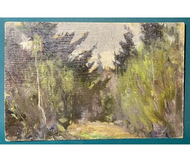 Дучиц Н.В Беларусь, 1958г. Холст, картон, масло. Размер 37,5х57 см. № 2540 (артикул №2540) - фото №3