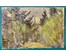 Дучиц Н.В Беларусь, 1958г. Холст, картон, масло. Размер 37,5х57 см. № 2540 (артикул №2540) - фото №2