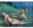 Багрянцев Э.Н. "Теплый вечер у речки...", 1992 год. (артикул №129) - фото №1