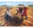 "Бульбаши", холст, масло. Размер 60х80 см. (артикул №136) - фото №2