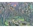 Гомонов В.К «Прыгожая Беларусь», 1992г. Холст , масло. Размер 24х32,5см. № 2763 (артикул №2763) - фото №2