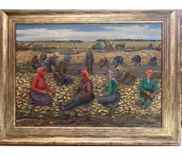 Сухорипа Н.Ф "Уборка свеклы", 1970г. Картон, масло. Размер 50х70 см. № 2795 (артикул №2795) - фото №1