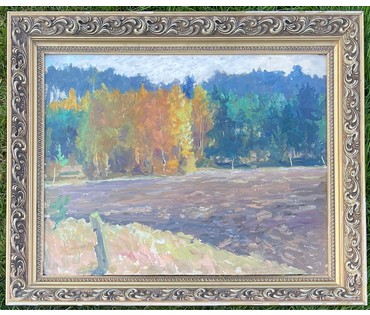 Дучиц Н.В "Земля белорусская", 1963г. Картон, масло.Размер 45х58 см. С родной рамой 57х68 см. № 2820 (артикул №2820) - фото №3