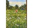 Бархатков И.А "Вечер", 2004г. Холст, масло.Размер 27х38 см. № 3035 (артикул №3035) - фото №4