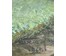 Белоусов В.П "Разлив на Сожи. Чериков", 1964г. Холст, масло. Размер 53х118 см. № 3114 (артикул №3114) - фото №6
