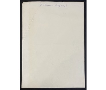 Кищенко А.М. Бумага,тушь,перо. Размер 47,5х61см. № 3161 (артикул №3161) - фото №3