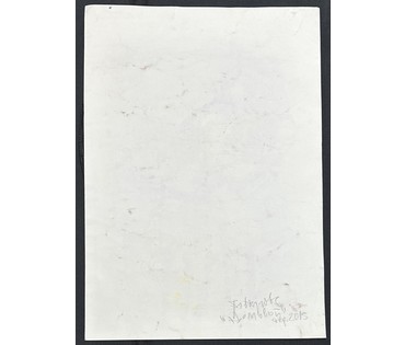 Акулов В.И "Домовой", 2013г. Бумага, акрил. Размер 41,5х59 см. № 3537 (артикул №3537) - фото №2
