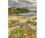 Белоусов В.П "Нарочанские хлеба", 1976г. ДВП, масло. Размер 76,5х45 см. № 3540 (артикул №3540) - фото №4