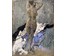 Данциг М.В "Обнажённая", 1956г. Холст, масло. Размер 89х67 см. № 3665 (артикул №3665) - фото №1