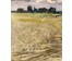 Скрипниченко Г.С "Деревенька", 1973г. Картон, масло. Размер 48х58 см. № 3937 (артикул №3937) - фото №2
