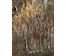 Скрипниченко Г.С "Сядзіба Ніеткі", 2014г. Холст, масло. Размер с рамой 62х62 см.№ 3989 (артикул №3989) - фото №3