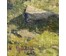 Кулец И.В "Пейзаж", холст, масло. Размер с рамой 92х82 см. № 4001 (артикул №4001) - фото №9